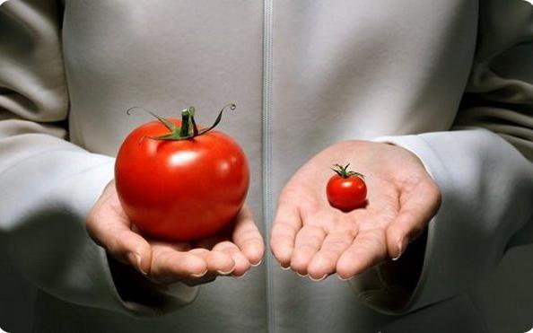 В Верховной Раде зарегистрировали законопроект о госконтроле за ГМО