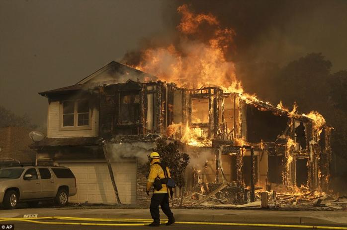 У Каліфорнії оголошено надзвичайний стан через масштабні лісові пожежі, є жертви та зниклі безвісти (ФОТО, ВІДЕО)