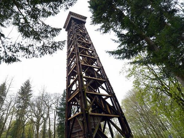 У Німеччині пожежа знищила відому дерев’яну вежу Гете (ФОТО, ВІДЕО)