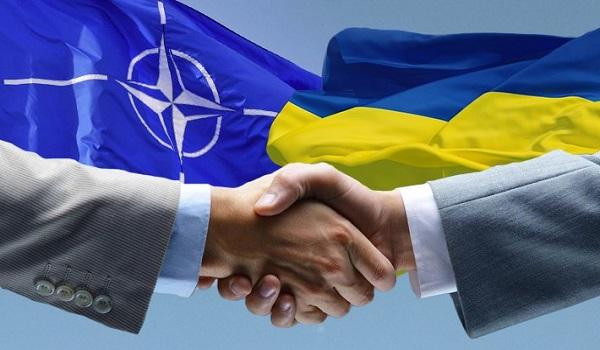Украине открыли доступ к логистической электронной базе данных НАТО