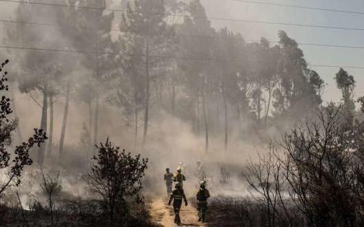 Лесные пожары в Испании и Португалии: погибли более 30 человек (ФОТО)