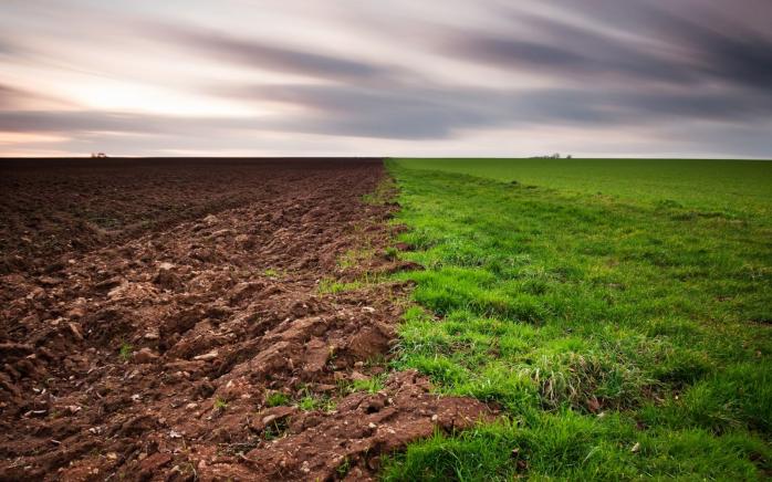 Землі України треба терміново лікувати: до 60% ґрунтів уражені вірусами