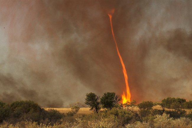 Во время лесного пожара в Португалии образовался огненный торнадо (ВИДЕО)