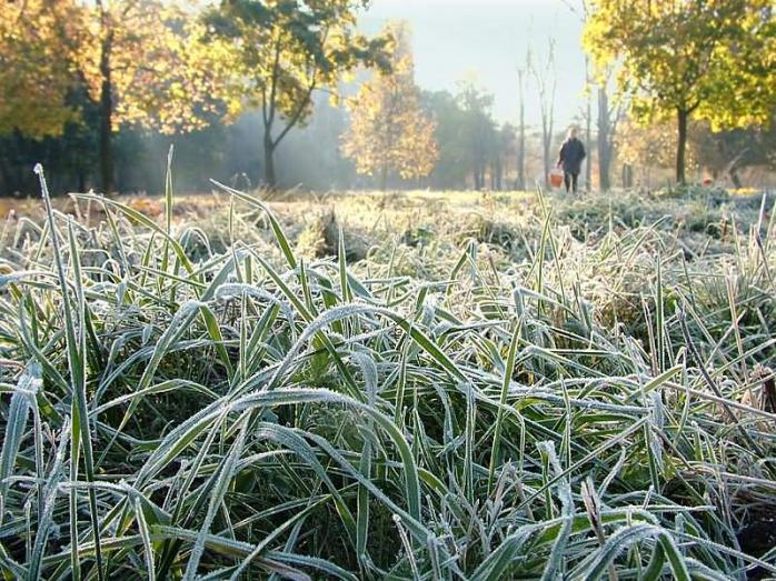 Заморозки і сніг прогнозують синоптики в Україні найближчими днями