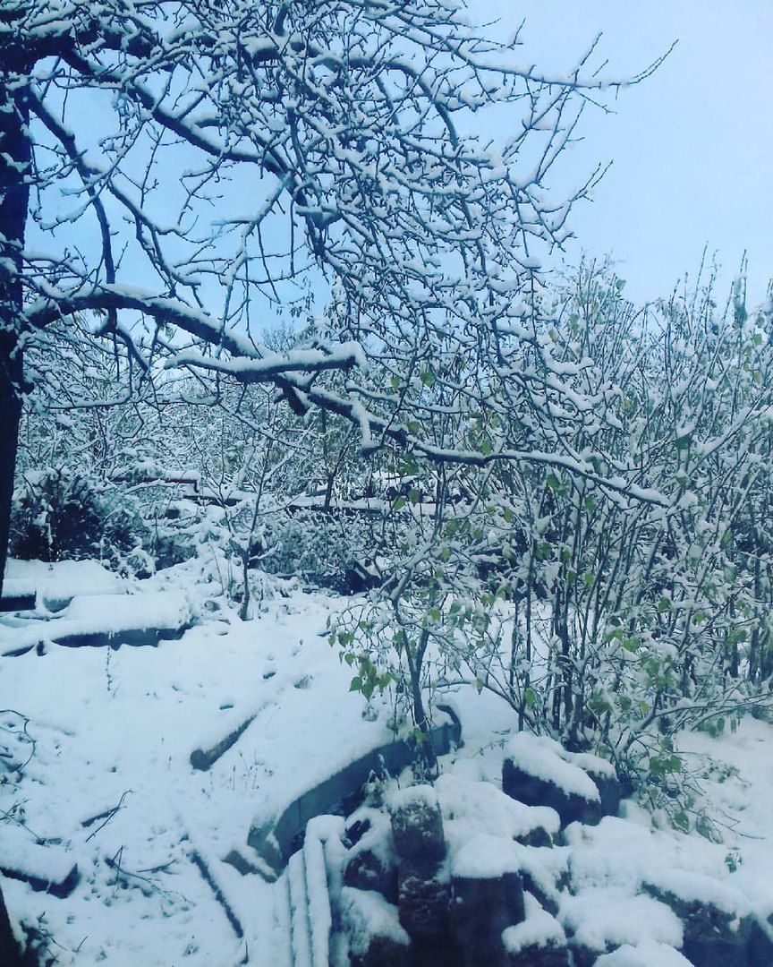 Фото: перший сніг у Криму