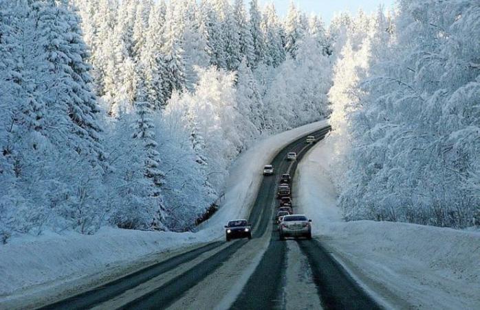Зима подкралась незаметно: на Закарпатье пассажирский автобус застрял в снегу (ВИДЕО)
