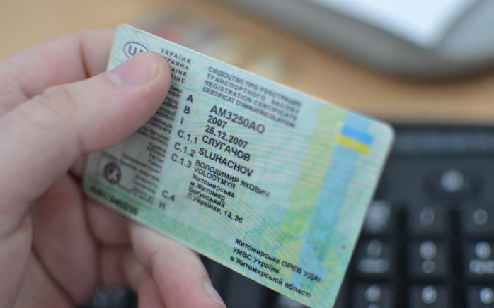 МВД хочет выдавать первые водительские права на два года (ИНФОГРАФИКА)