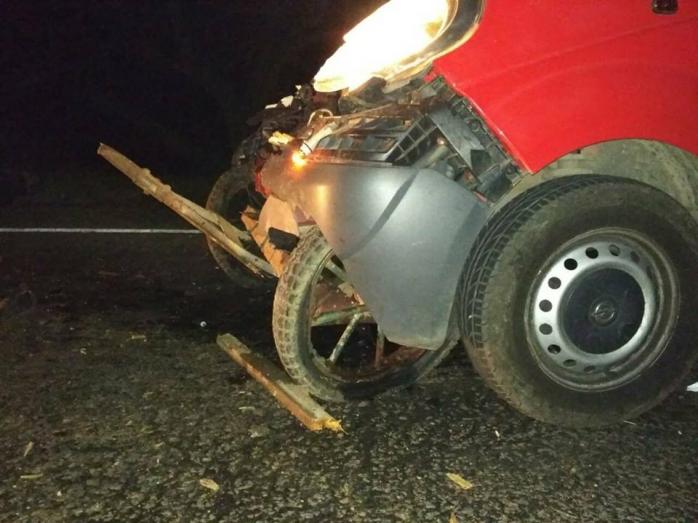 Микроавтобус раздавил гужевую телегу в Одесской области, три человека погибли (ФОТО)
