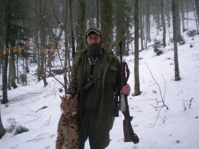 Убийство краснокнижной рыси на Закарпатье: начато расследование (ФОТО)