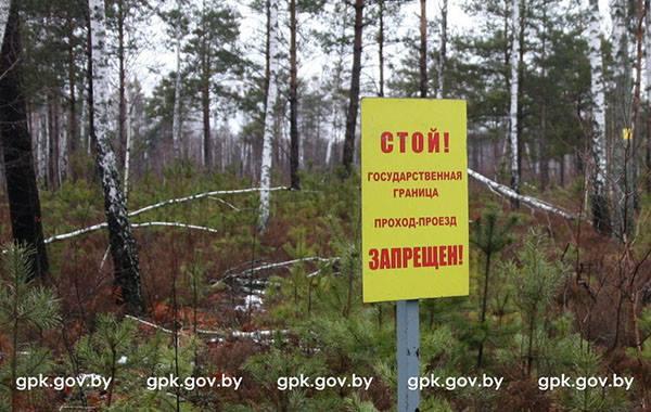 Насобирали ягод: в Беларуси задержали трех украинцев, нарушивших границу