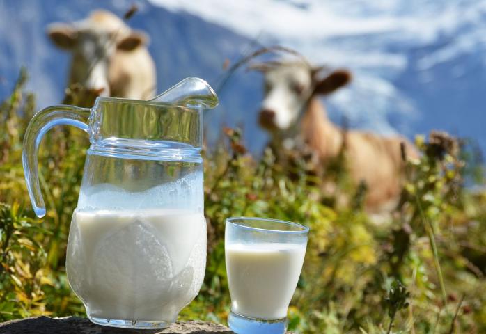 Как фальсифицируют молоко: отличия настоящего молока от поддельного