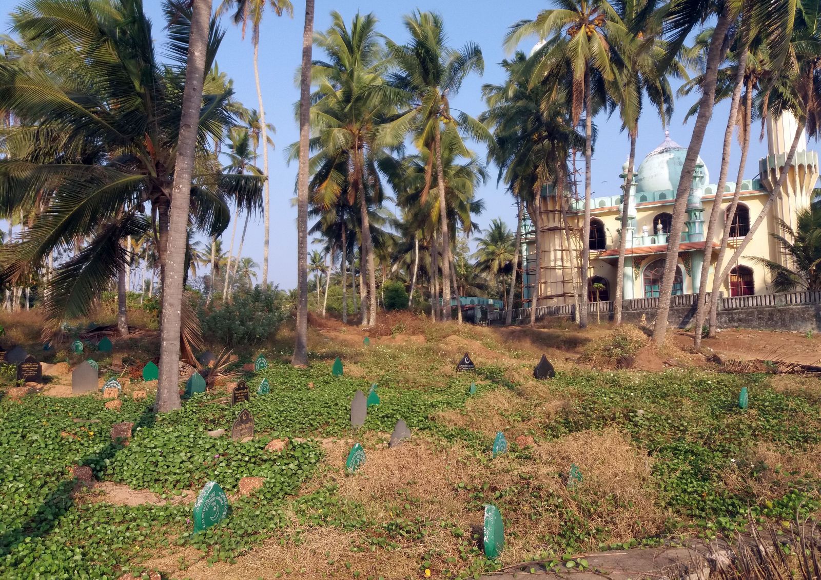 Мусульманское кладбище возле мечети в Варкале, Индия. Фото: Людмила Крылова / Ракурс