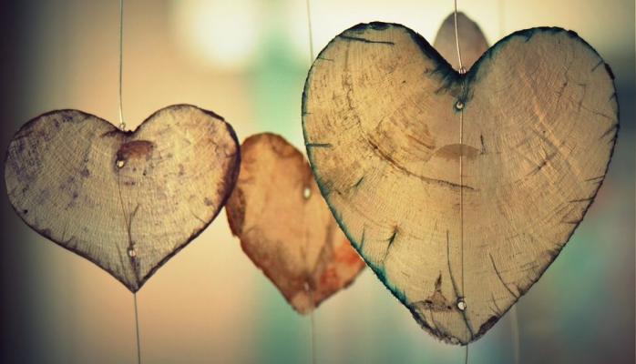 Именно успешная пересадка сердца впервые вызвала серьезный общественный резонанс. Фото: Ben_Kerckx / pixabay.com