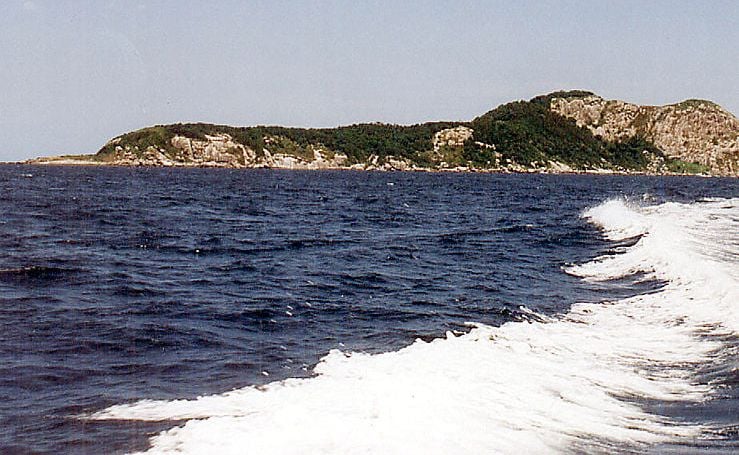 Запрещенные места планеты: Змеиный остров, Бразилия (Ilha da Queimada Grande). Фото: Prefeitura Municipal de ItanhaÃ©m / Flickr