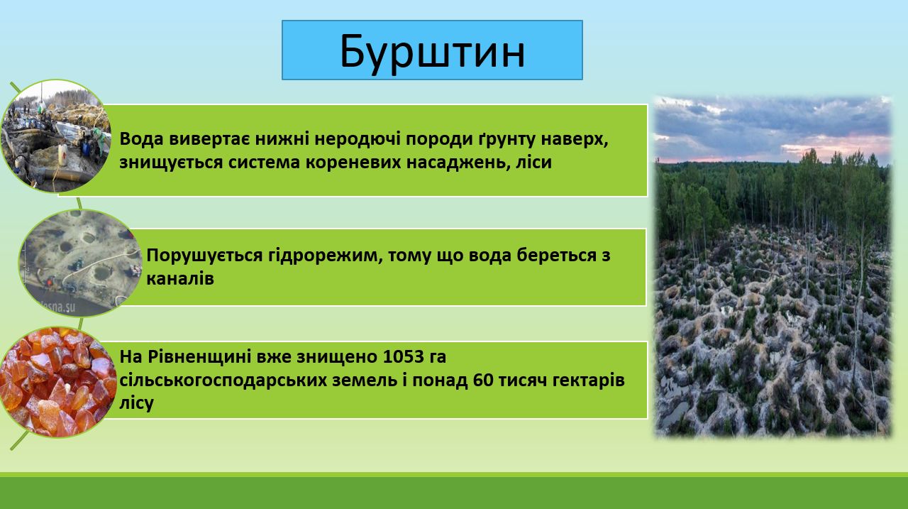 Екологія в Україні. Ілюстрація з презентації судді Лариси Зуєвої