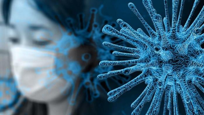 Новый коронавирус. Фото: Pixabay