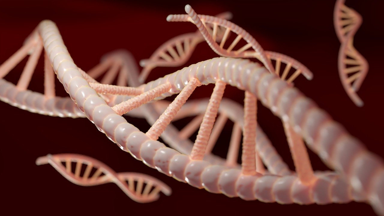 Генетична схильність до коронавірусної інфекції. Фото: Pixabay