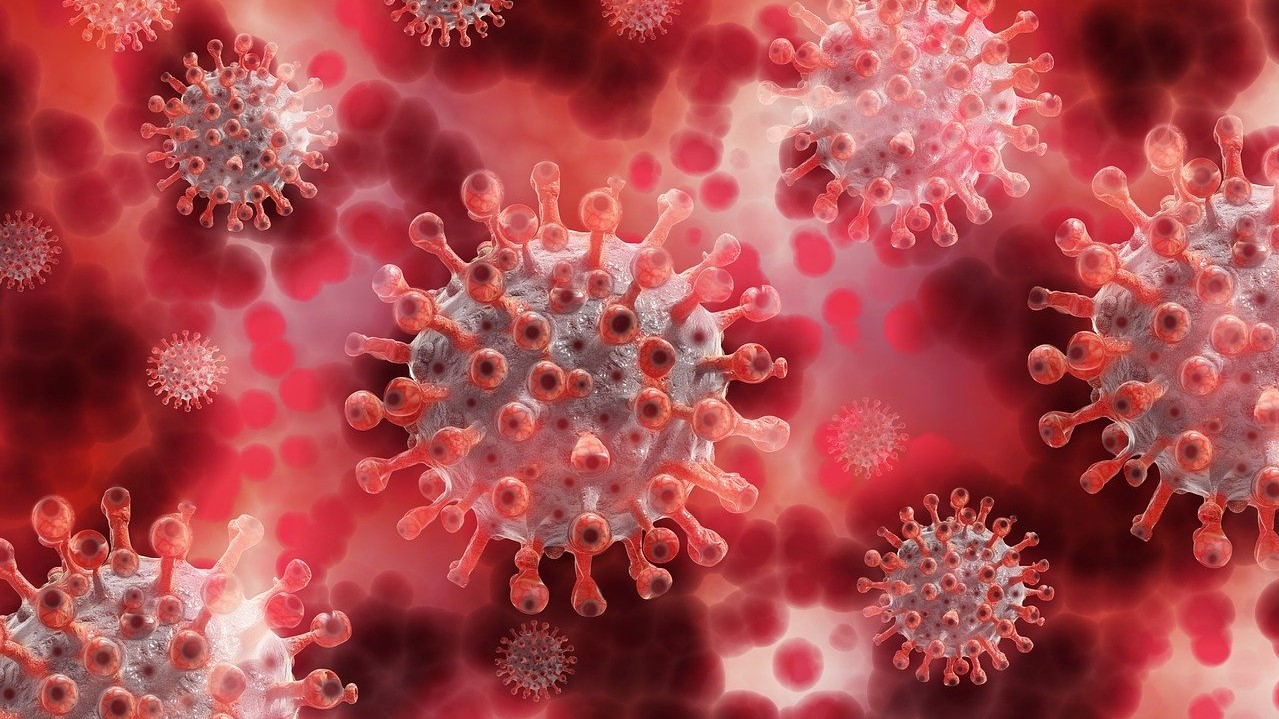 Коронавирусная инфекция. Фото: Pixabay