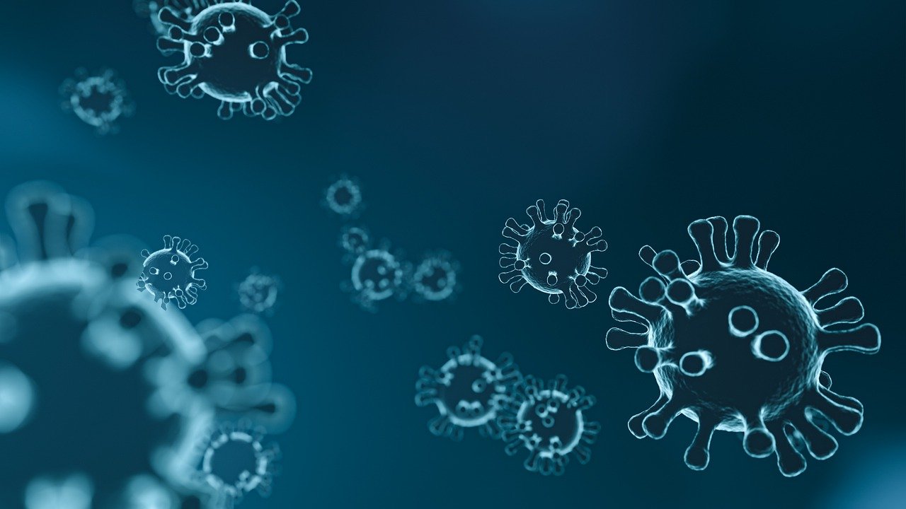 Коронавирусная инфекция: семь штаммов и две главные мутации. Фото: Pixabay