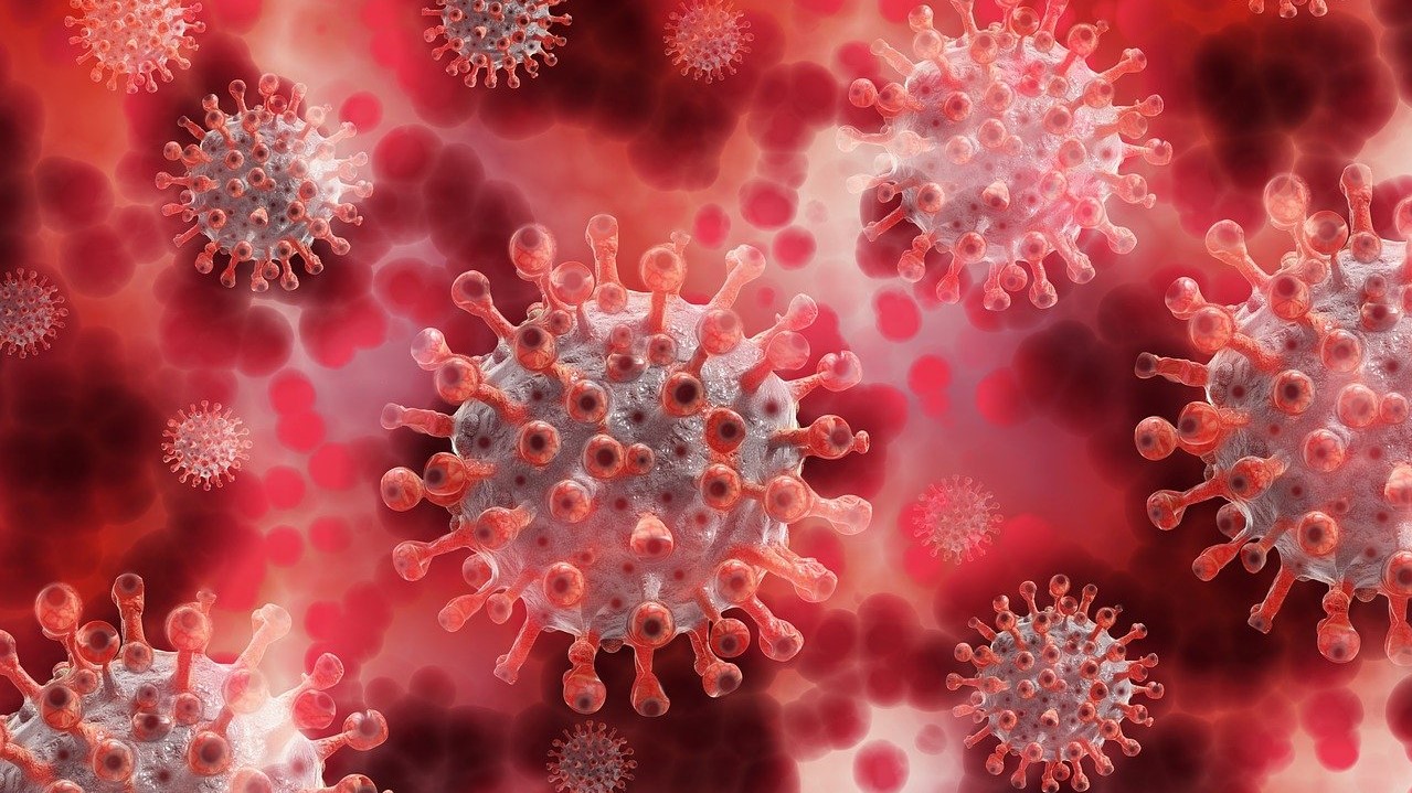 Імунітет від коронавірусу. Фото: Pixabay
