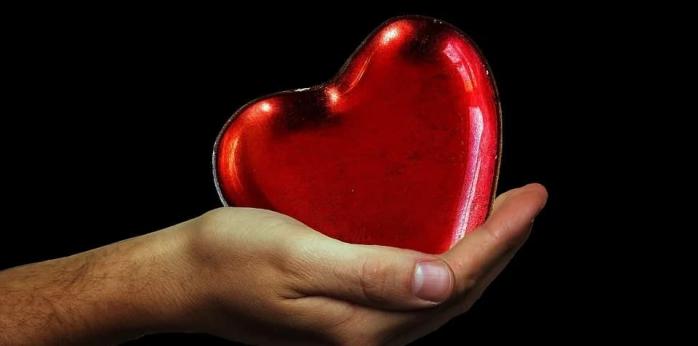 Бальзам для сердца, или Как не допустить инфаркт — советы врачей