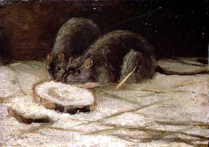 Two Rats, Vincent van Gogh, 1884