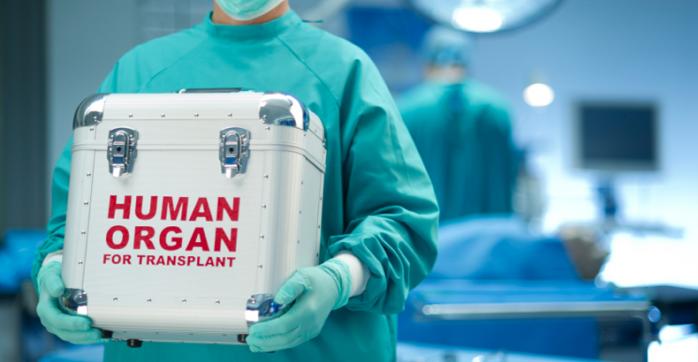 Парламентские трансплантологи хотят узаконить странных доноров