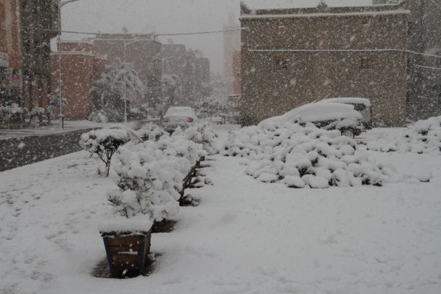 Снег в Марокко. Фото: moroccoworldnews.com