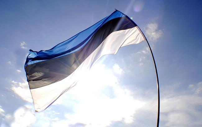 Флаг Эстонии. Фото: РБК-Украина