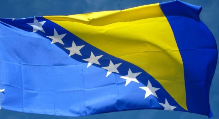 Гугл випустив новий дудл на честь Дня незалежності Боснії та Герцеговини (ФОТО)