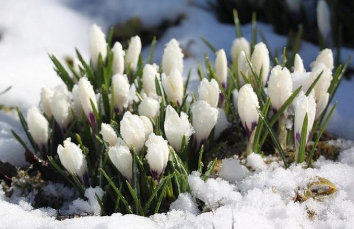 Погода в Україні на 29 березня: вночі очікується невеликий сніг, а вдень — дощ і хмарно з проясненнями (КАРТА)