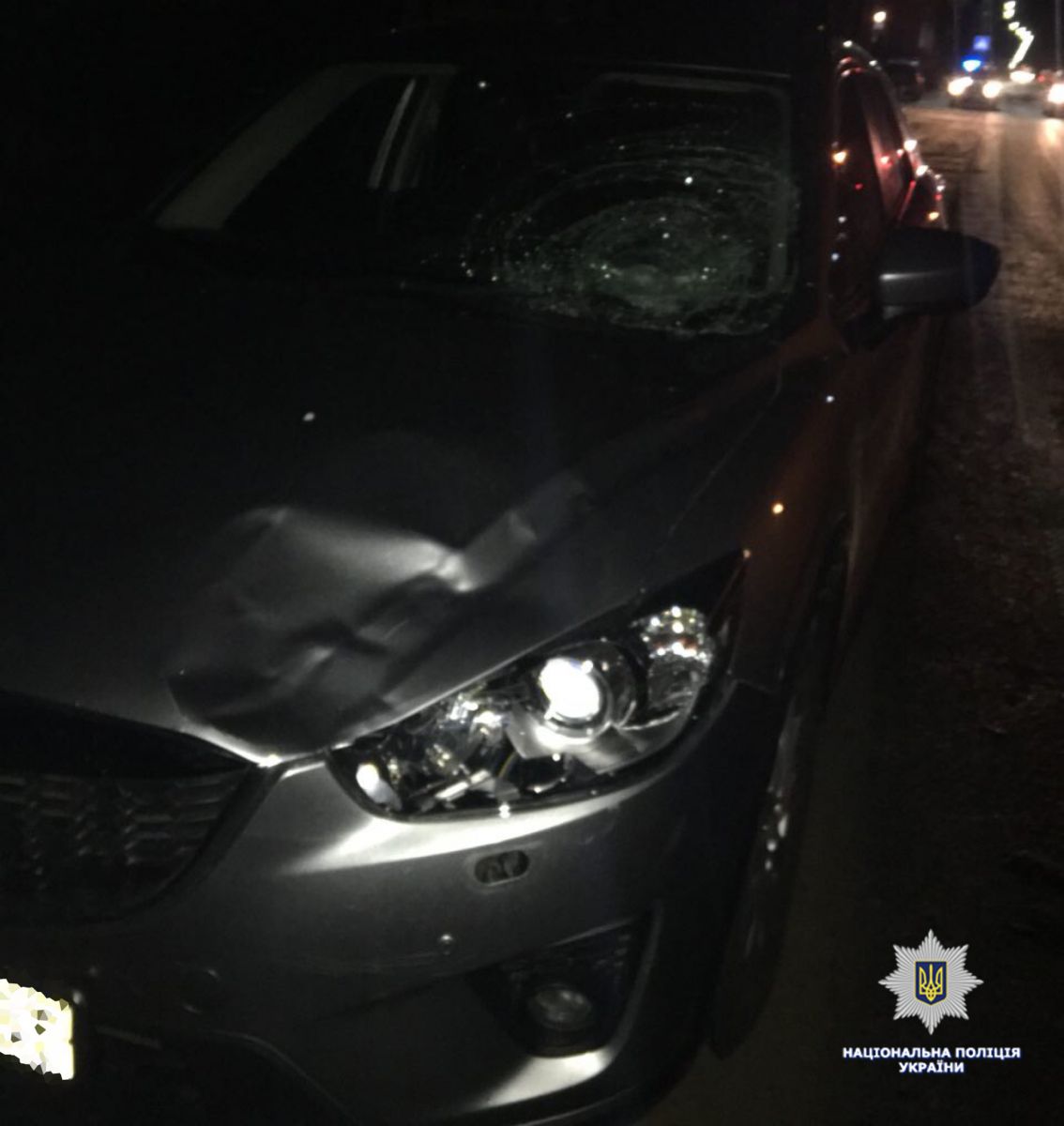 Фото: Нацполиция