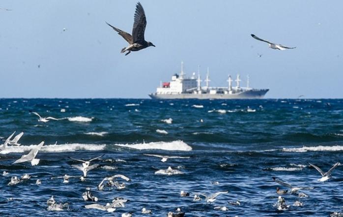ФСБ установила новый «рекорд» по перехвату судов в Азовском море (ДОКУМЕНТ)