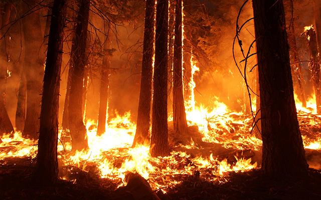 Пожары в Калифорнии. Фото: Flickr