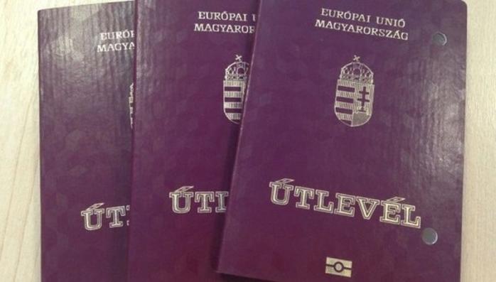 Угорські паспорти. Фото: Bigmir.net