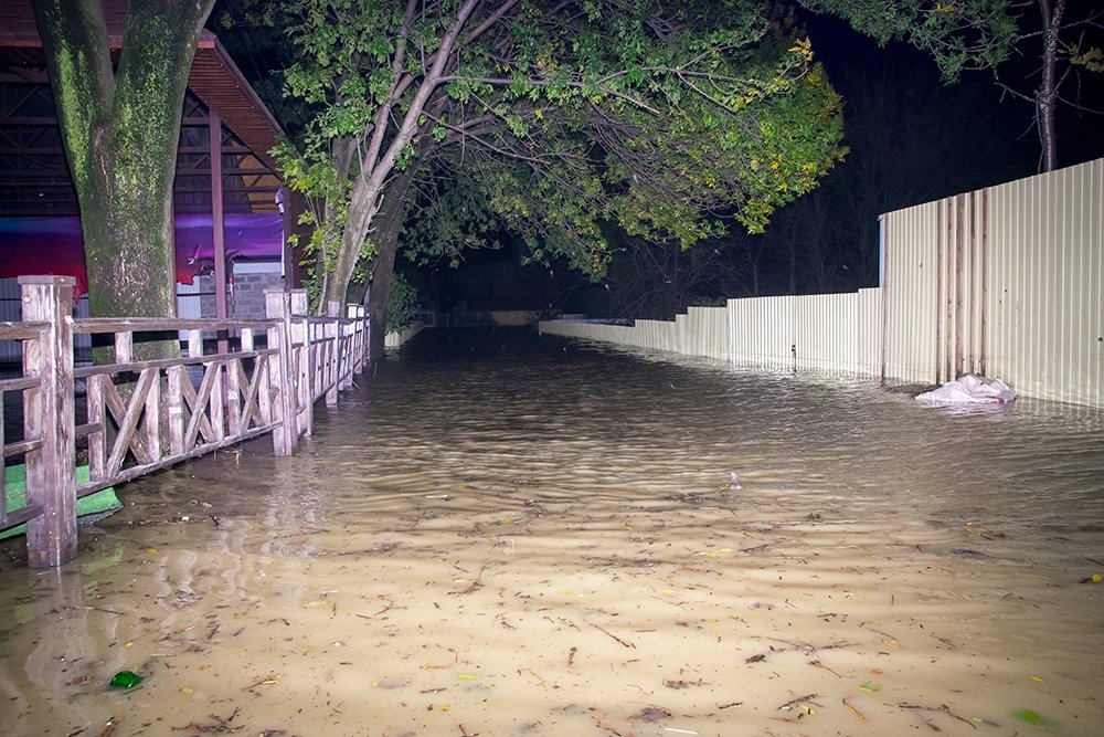 Фото: piter.tv, РІА «Новости»