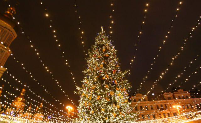 Новогодняя елка. Фото: hyser.com.ua