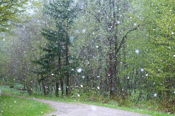 У більшості регіонів України слід очікувати на мокрий сніг, іноді з дощем