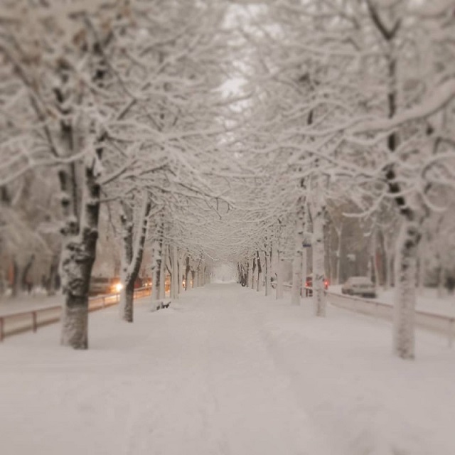 Снег в Кривом Роге. Фото: Сегодня