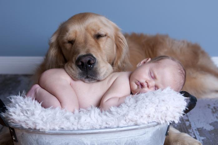 Домашние животные помогают детям избежать развития аллергии. Фото: Woman.ru