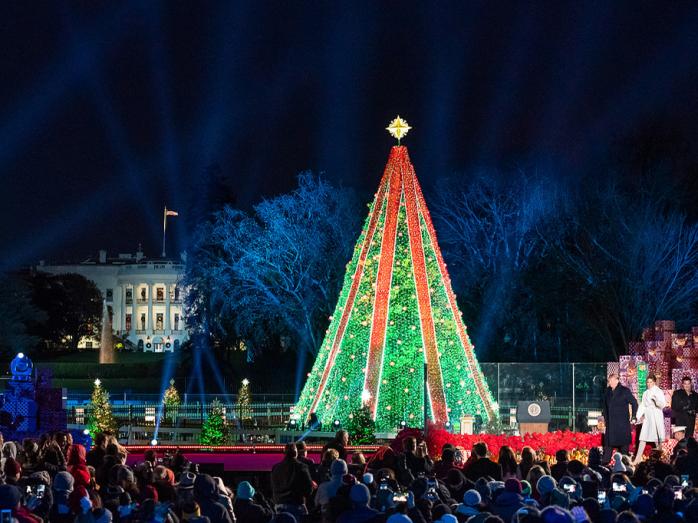 Рождественская елка в Вашингтоне. Фото: Flickr