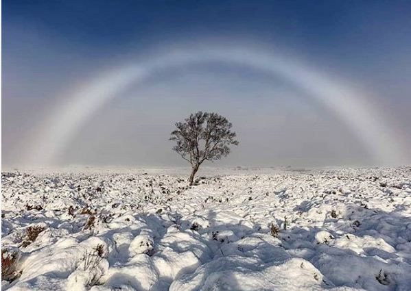  Туманная радуга, фото — Инстаграм