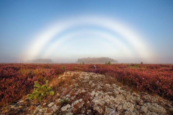 Туманная радуга, фото — Инстаграм