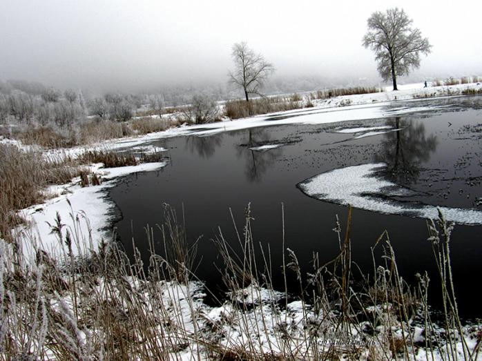 Погоду в Україні обіцяють з мокрим снігом та дощем. Фото: flickr.com
