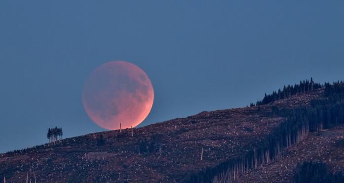 «Кривавий Місяць» можна буде спостерігати вночі 20 січня, фото: Flickr