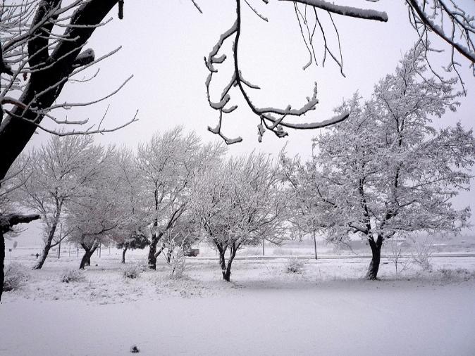 Зимова погода. Фото: flickr.com
