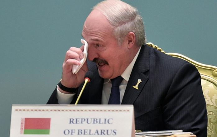 Лукашенко здивував Путіна картоплею, фото — nsn.fm