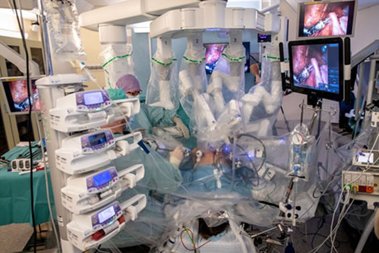Пересадка матки с помощью робота. Фото: neurosciencenews