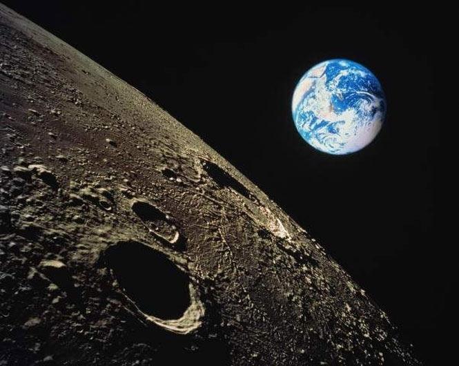 Первый биологический эксперимент на Луне провели китайцы. Фото: iPress.ua