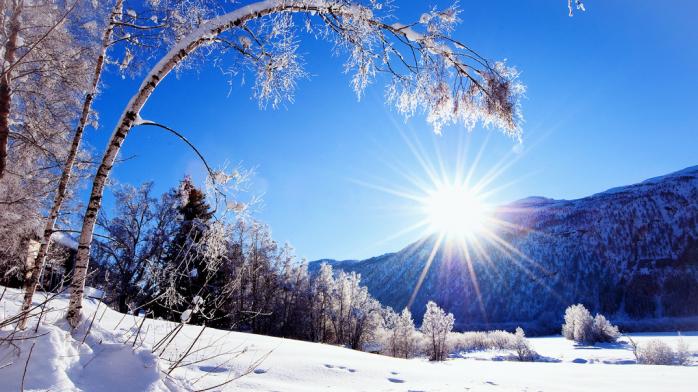 Погода в Україні на 16 січня: синоптики обіцяють сонячну й морозну погоду. Фото: Vtambove.ru